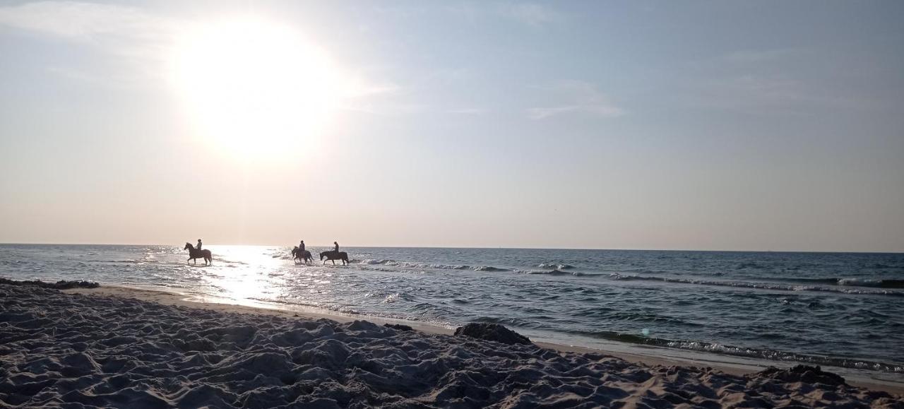 Private Seaside Home Sasino Εξωτερικό φωτογραφία